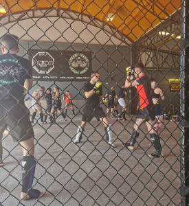 An image of MMA fighters training.