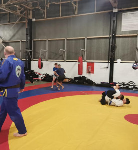 An image of BJJ fighters training.