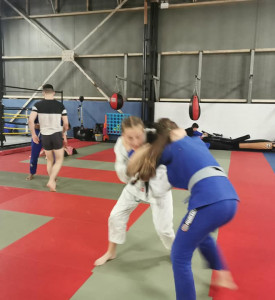 An image of BJJ fighters training.